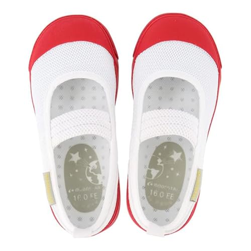 㗚 ΂ C v~AX^[/[X^[ /q wZ ۈ牀 ct  /1213002 (bh, 17.0cm)