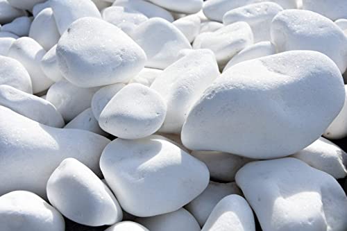 Thassos TRANS-PAL Decorative Stones Natural Marble Extra White PEBBLES 20 Kilo Bag 60-100mm Landscape Garden Home
