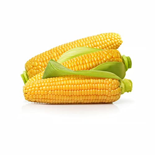 Sweet Corn GCC - 2 pieces