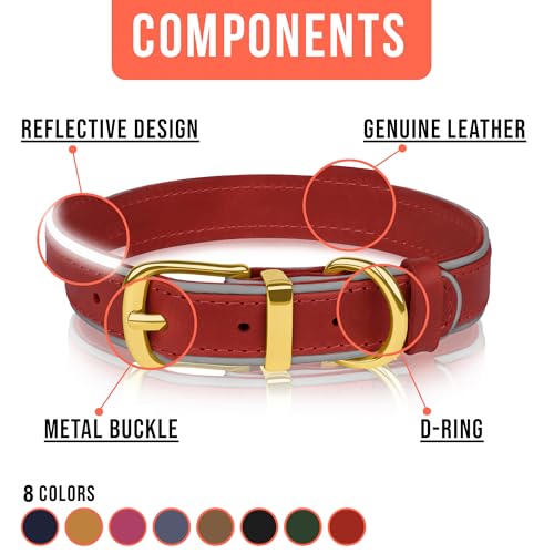 Collier en cuir pour chien OOPSDOGGY rouge protégez votre compagnon avec style