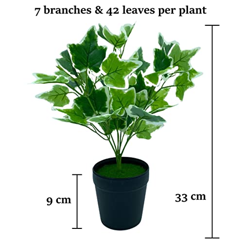 "Bring Life to Your Space with Stylish Tdas Artificial Plants in Pots - Perfect Home Decor Items for Indoor and Outdoor - Set of 2 (Design5) - 33 cm" "Bring Life to Your Space with Stylish Tdas Artificial Plants in Pots - Perfect Home Decor Items for Indoor and Outdoor - Set of 2 (Design5) - 33 cm"