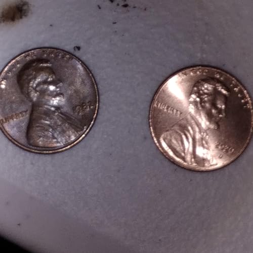 GRANNY PROSECUTED SPITS ON BOY