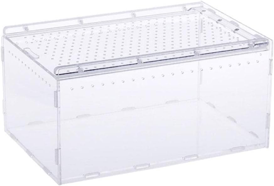 Boîte d'élevage de petits Reptiles, Cage en acrylique transparente