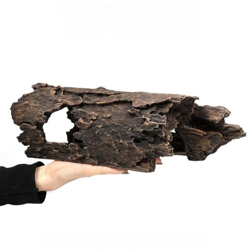 Angoda ঒ރVF^[ B 畗fUC ^Bꏈ nGA Sގ  NK gJQ wr  (PC046 ij)