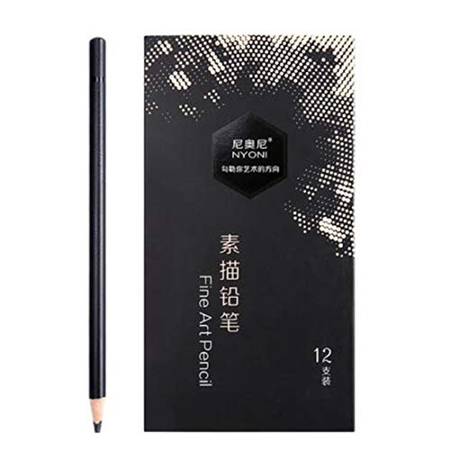 Ondesk Artics Artists’ Fine Art Graphite Pencils Grade 14B Set of 12, Black (OAN812814B)