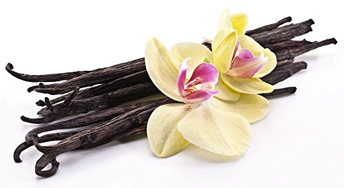 Vanilla Bean Powder, Ground Vanilla Beans From Madagascar, Wild Vanilla is Unsweet, Gluten-Free, Raw, Non-GMO, Vegan, Paleo (2 ounce) - Thumbnail 3