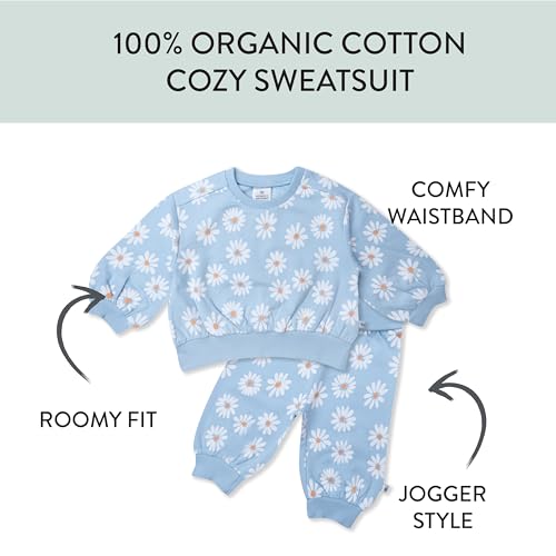 HonestBaby 2-Pack Crewneck Sweatshirt and Sweatpant Set 100% Organic Cotton for Toddler, Baby Boys, Girls2