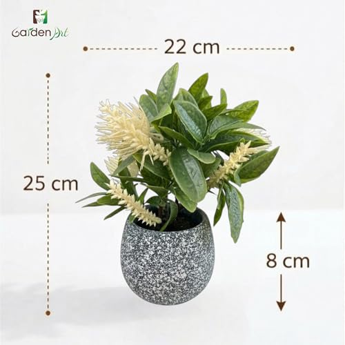 Image of Garden Art Artificial Protea Flower Arrangement Placed in a Small Decorative doted Pot. The Spiky, Cone-Shaped Bloom and Textured Petals are Typical of Protea Flowers (P-0235White)