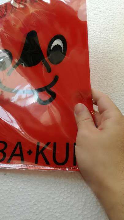 Amazon.co.jp: 千葉県チーバくん クリアファイル : おもちゃ