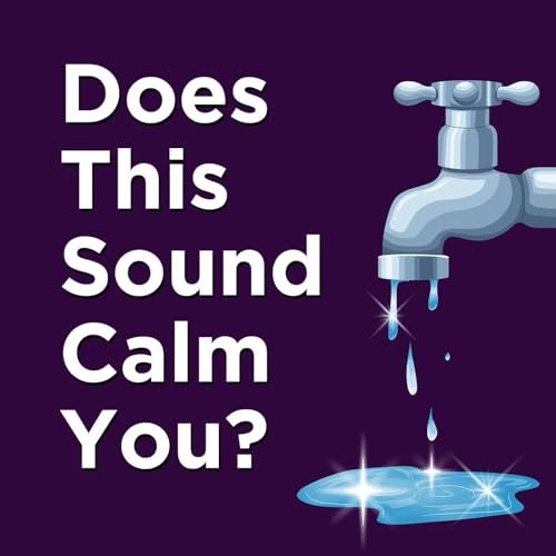 ADHD + ASD REGULATION - Trickling Water LOOP - Sounds That Feels Like Magic - Focus + Sensory Calm cover art