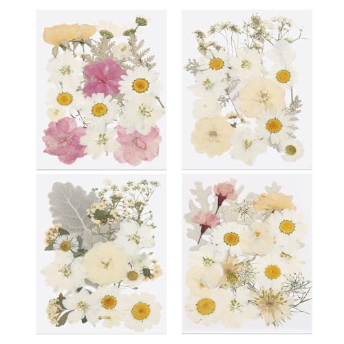 80 piezas de hojas secas prensadas para artesanía miniatura 1