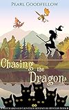 Cover zum Buch Chasing the Dragons