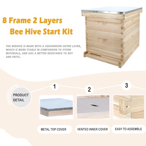 POLLIBEE 8 Frame Beehive kit, Complete Bee Hive for Beekeeper, Langstroth Bee Hives Include 1 Deep and 1 Medium Bee Box with Bee Frames and Foundation(Unassembled) - Image 4