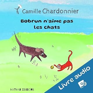 Couverture de Bobrun n'aime pas les chats