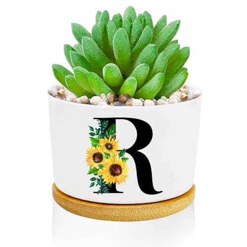 Sunflower Succulent Plant Pots 3 Inch Ceramic Cactus Flower Pots Personalized Initials R Sunflower Gifts for Women Mom Sister,Birthday Housewarming,Wedding,Window Garden Desk Decor