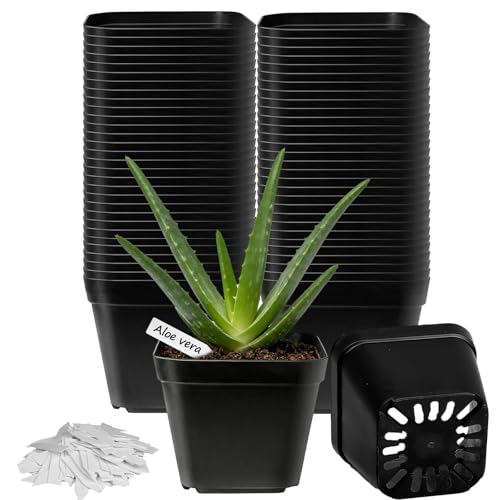 TEYIAN 60pcs 10cm Plastic Plant Pots Flower Nursery Pots Herb Pot Seed Seedling Pots with Drainage Hole and 100Pcs Plant Labels for Succulent Flowers Cactus All House Plants