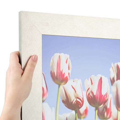 ArtToFrames 21x29 inch Metallic Deco Silver Picture Frame, 2WOM0066-20277-YSLV-21x29
