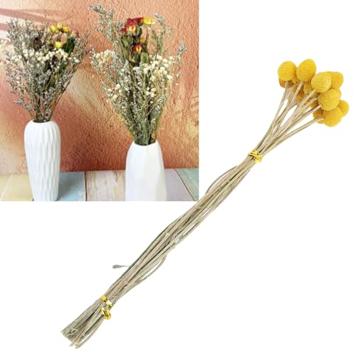 Ramo de flores secas Zerone diseño elegante para decoración miniatura 3