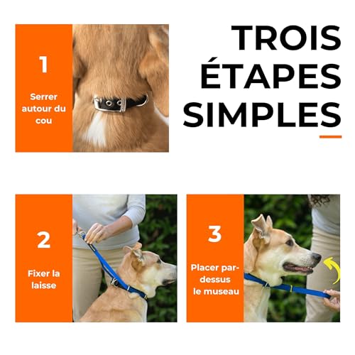 Détail rembourrage et fixation sur le licol Canny Collar