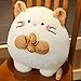 huobeibei Ratón Gordo Encantador con Peluche de Cacahuete, Juguetes de Peluche de Rata para niños, Almohada de Dibujos Animados de Animales Suaves, Regalo para niños, 45 cm D