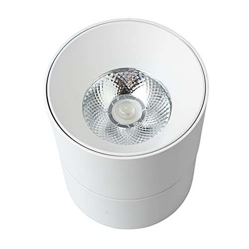 Faretto Antiriflesso Regolabile, Faretti Montati su Superficie 110 a 240 V Dissipazione del Calore Ad Alta luminosità Durevole per Soggiorno (WHITE)