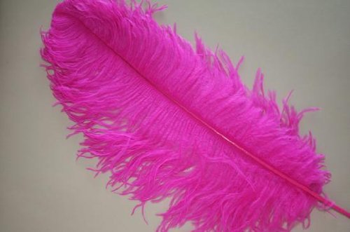 1 Pc Ostrich Feather Plume 18