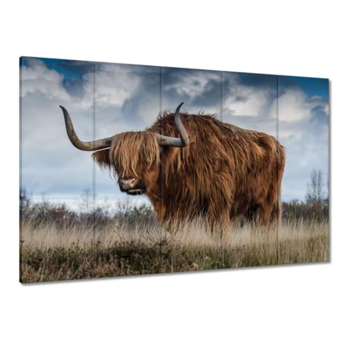 Tableau écossais Bovin Highland pour créer un salon cosy et chaleureux