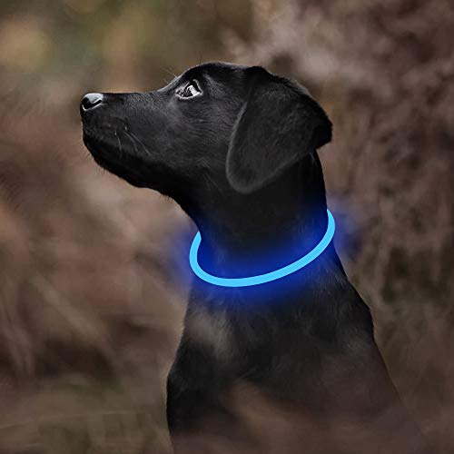 Bseen LED Dog Collar- USB Rechargeable- Light Up Dog Collars - Cuttable Size, Be Seen Dog Collars for Large Dogs Medium Dogs Small Dogs ,Safety and Cool Neon Dog Collar for Dog Walking at Night(Blue)