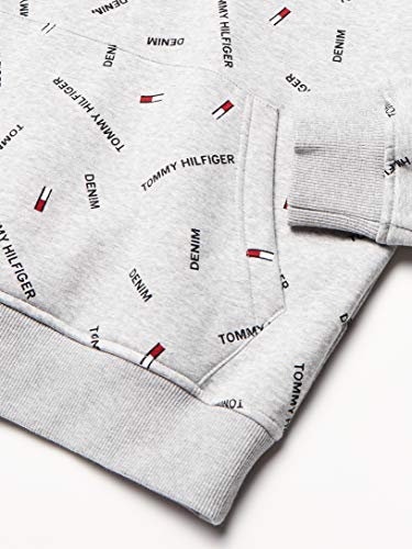 Image of Tommy Hilfiger Men's THD Hoodie Sweatshirt