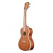 Kala KA-CG Glossed Mahogany Concert Ukulele