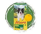 JOSERA AllSizes Festival mit Huhn und Lachs 12,5 KG inklusive Goodie Frisbee - Premium Trockenfutter, Hundefutter mit Soßenpulver