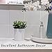 Denture Bath, Invisible Denture Case Designed As Artificial Eucalyptus Potted Plants, Denture Cup With Strainer For Retainer, Mouth Guard & Dentures, Perfect For Home Decoration…
