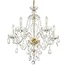 Candace 5 Light Polished Brass Chandelier