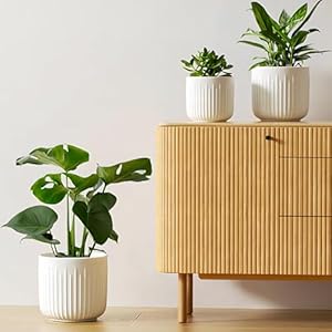 LE TAUCI Lot de 3 Pots de Fleu...