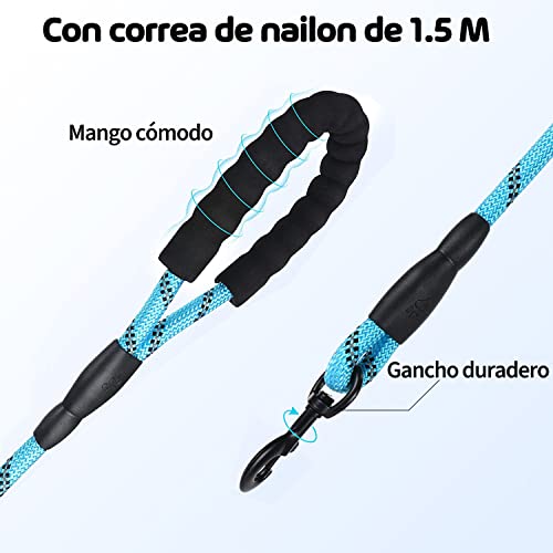 Encuentra la mejor selección de Accesorios para perros para comprar hoy. 9 Imagen adicional