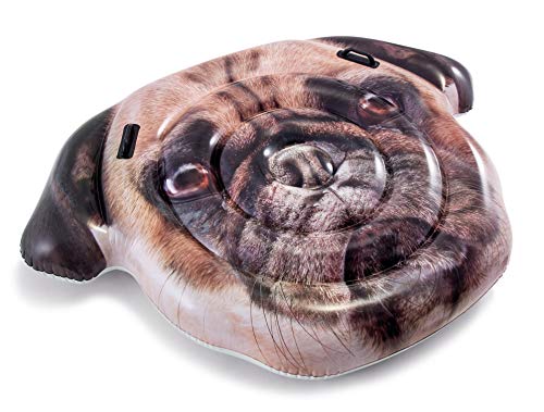 Colchão Inflável Para Piscinas Cachorro Pug Intex