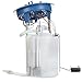 Delphi FG2080 Fuel Pump Module