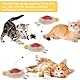 Interaktives Elektronisches Katzenspielzeug,Automatische Katzenspielkugel,Cat Ball für Indoor-Katzen,360° Beweglicher Katzenball,Selbstbeschäftigung Katzenspielzeug,Jagdspielzeug für Kätzchen (A)