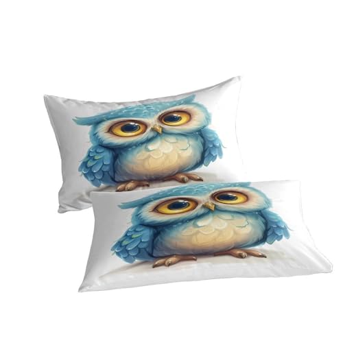 Housse de couette chouette lit double grand format anti-plis