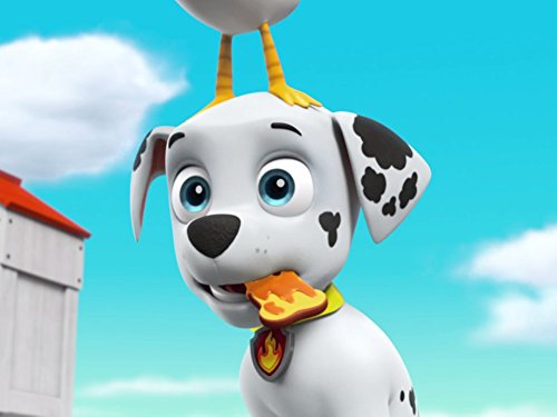 Pups Save the Parrot/Pups Save the Queen Bee