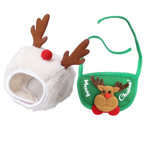 NX}Xybgߑ ʂ݃ANZT[ 1Zbg ̃zf[RX`[ jqAp tBbg߉\ W܂p p[eB[ ʐ^Be  xp