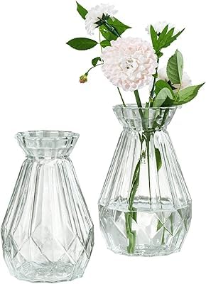 Image of Decorative Glass Vase for Flower Plants | Clear Glass vases for Home Decor | Glass vase for Living Room (Cylindrical)-Pack of 2