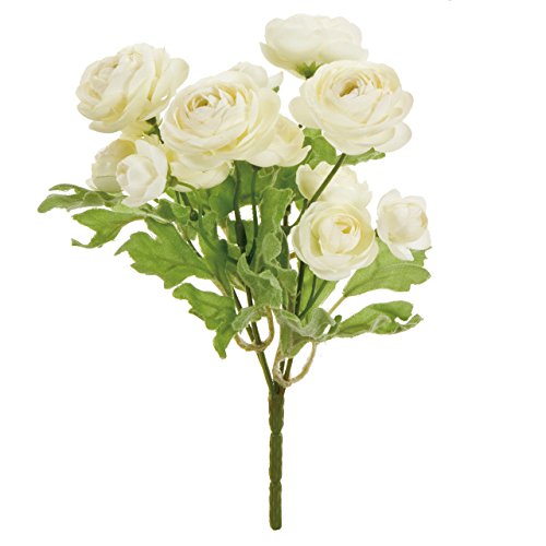 ������ ���� MAGIQ �J�������i���u�b�V�� �N���[�� �Ԍa2~4×L20×W13�p FM006069-001