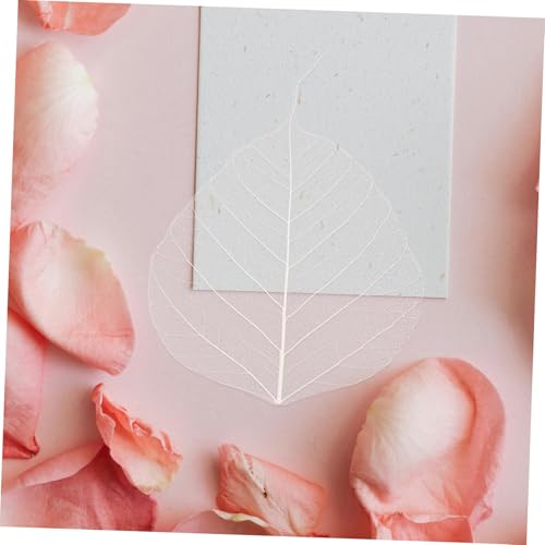 20 hojas secas esqueleto para manualidades y scrapbooking miniatura 5