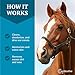 CeraSoothe® SA Otic Cleansing Solution 16oz