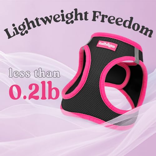 rabbitgoo Step-In Harness & Leash Set (Black & Rose Red, Small) — view 7