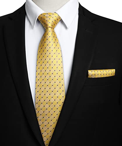 Hisdern B01N24CWSO Plaid Tie Handkerchief Woven Classic Men'S Necktie & Pocket Square Set,Yellow & Purple,One Size thumb #1
