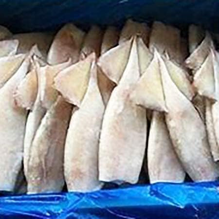 �C�N �o�[�x�L���[ ��� ���� �Ⓚ �k�C�����E�X�� �C�J �ڔ��� 70���O�� 1�� �Ɩ��p�Ⓚ���� �C�J�Ă��ɍœK �Ɩ��p �C�x���g