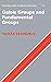 Galois Groups and Fundamental Groups (Cambridge Studies in Advanced Mathematics)
