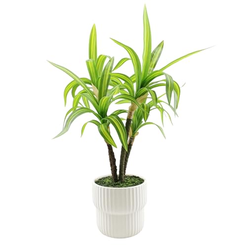 Image of KARP Artificial Potted Plants, 45Cm Height Faux Dracaena Fragrans Massangeana Plant with White Pot Home Decor, Indoor Artificial Ornamental Plants for Living Room, Office Desk & Bathroom, Decorative